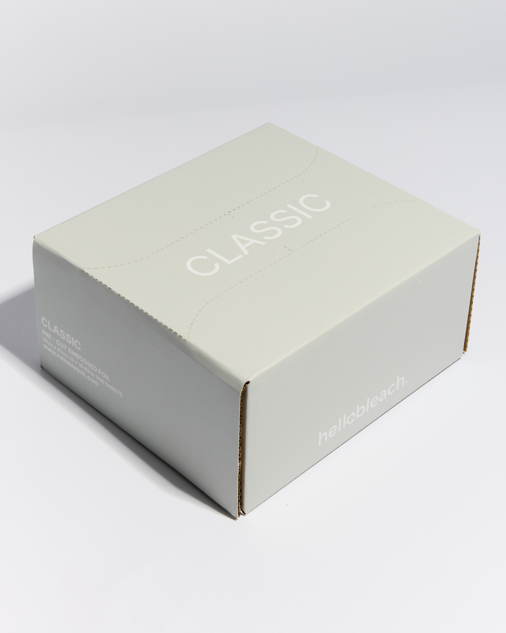 Le fouet de Hello Bleach