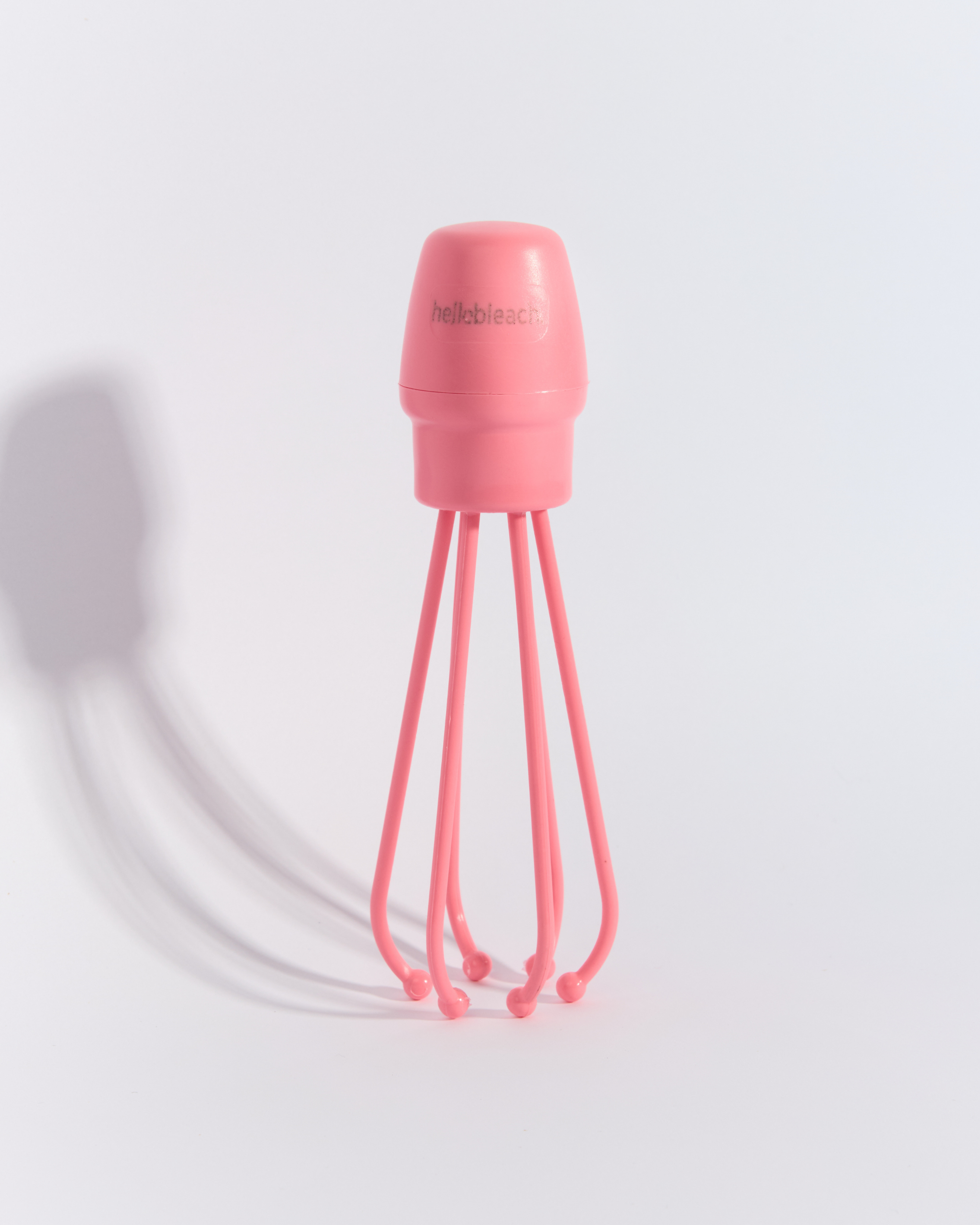 Le fouet de Hello Bleach