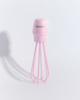 The Whisk