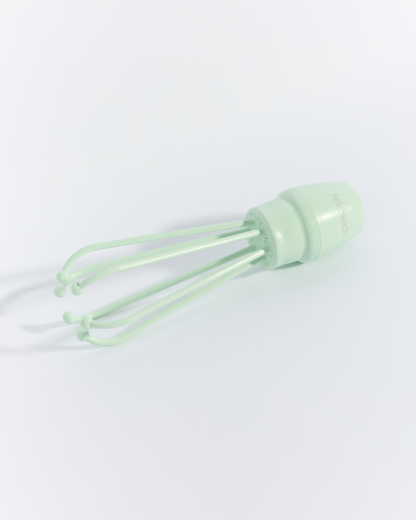 The Whisk