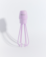 The Whisk